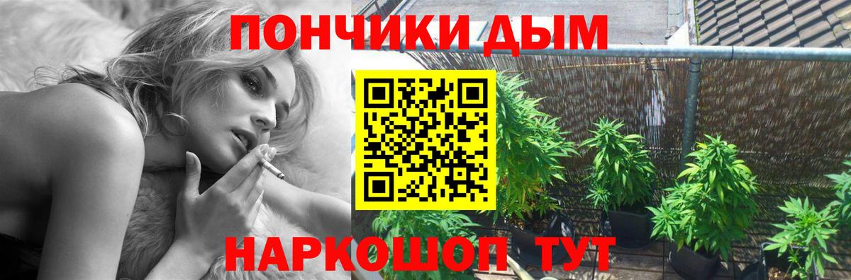 Конопля марихуана Гатчина